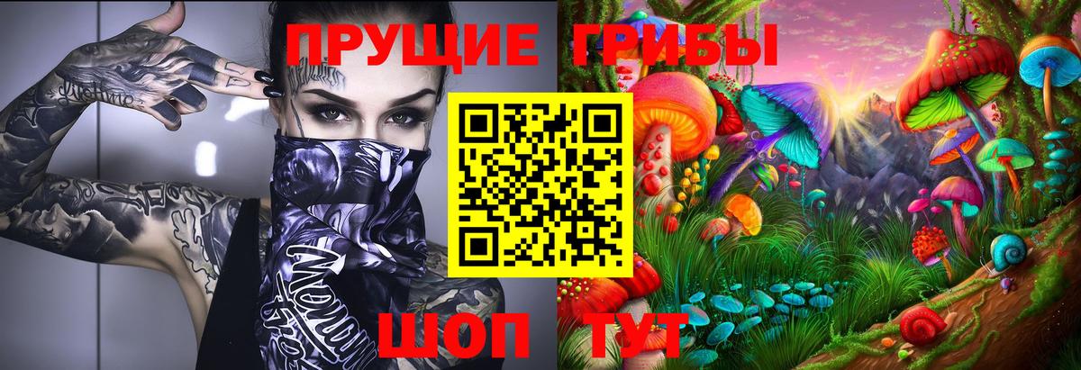Губкинский  Галлюциногенные грибы Psilocybine cubensis  Псилоцибиновые грибы Psilocybine cubensis  Вход с VPN 