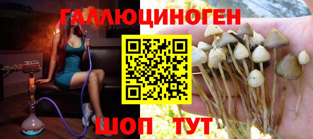 Галлюциногенные грибы Magic Shrooms Губкинский